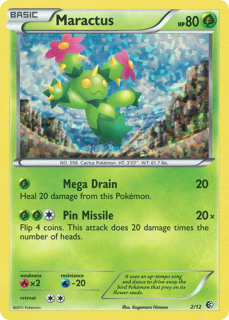 Maractus 2/12