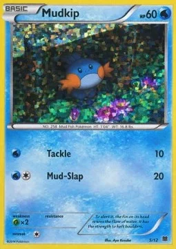 Mudkip 5/12