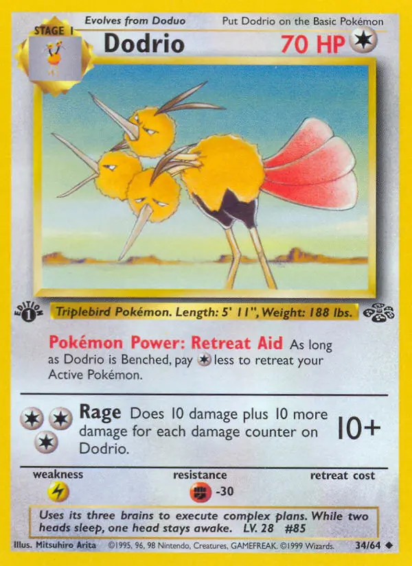 Dodrio 34/64