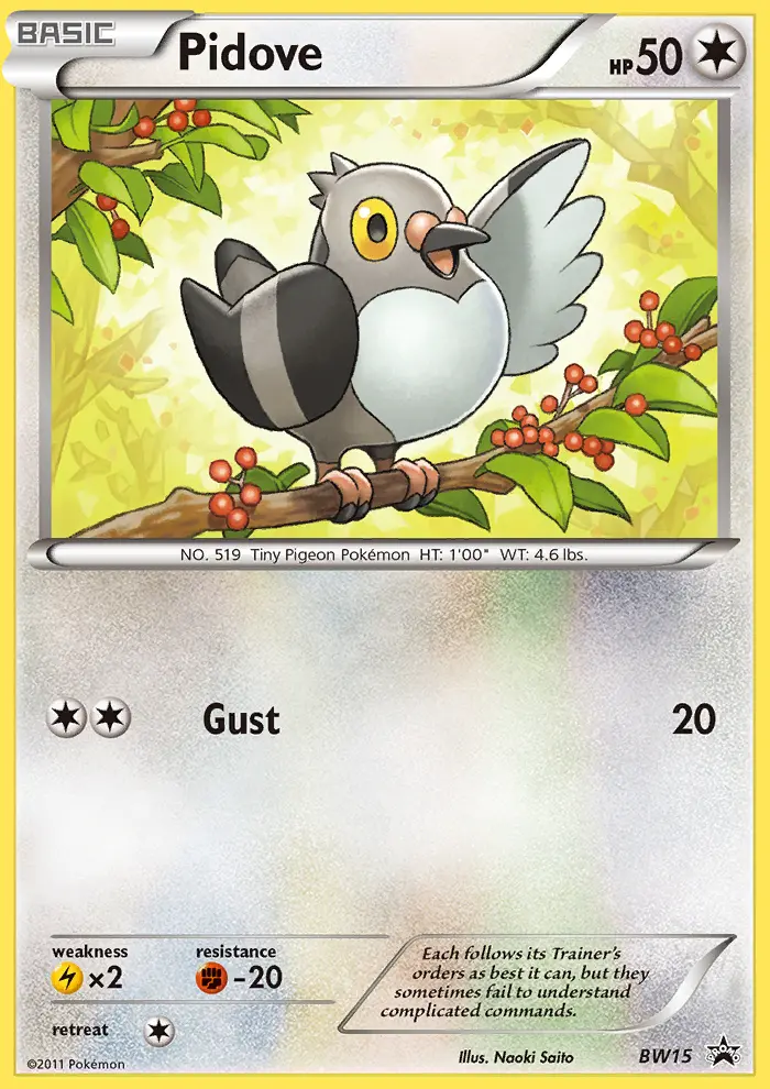 Pidove BW15/101