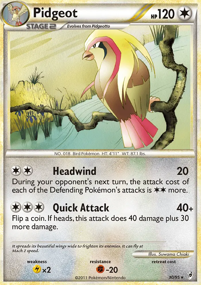 Pidgeot 30/95