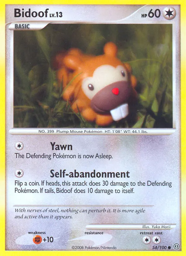 Bidoof 54/100