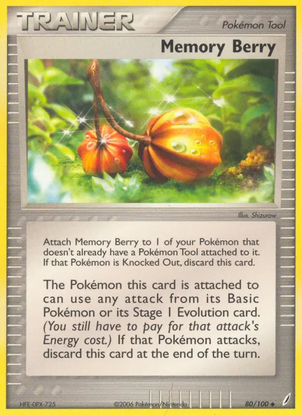 Memory Berry 80/100