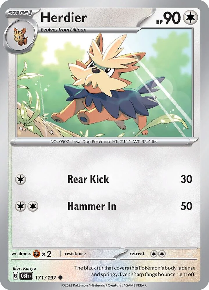 Herdier 19/30