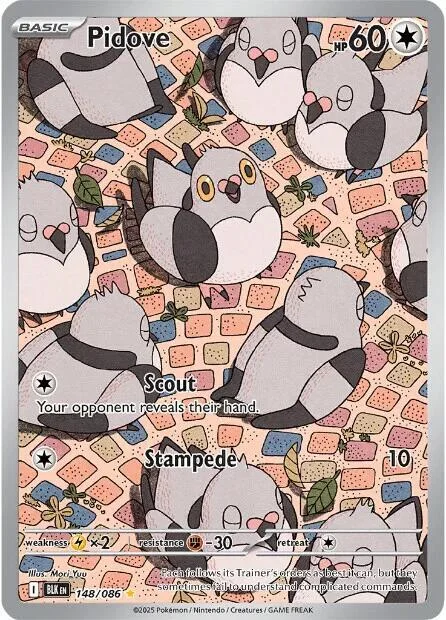 Pidove 14/30