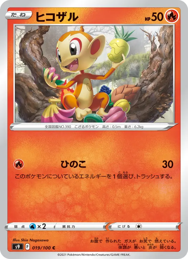 ヒコザル 019
