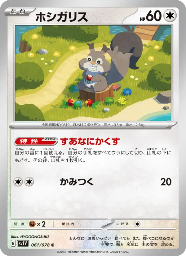 ホシガリス 061