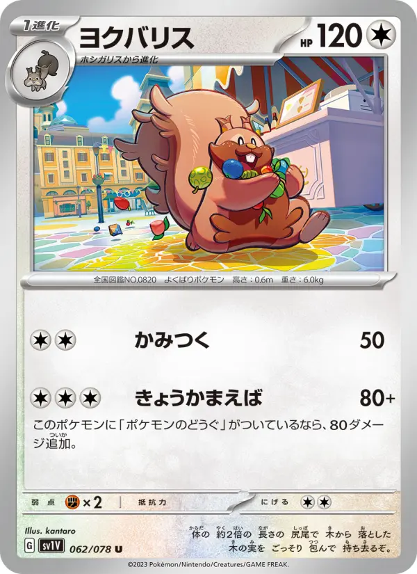 ヨクバリス 062