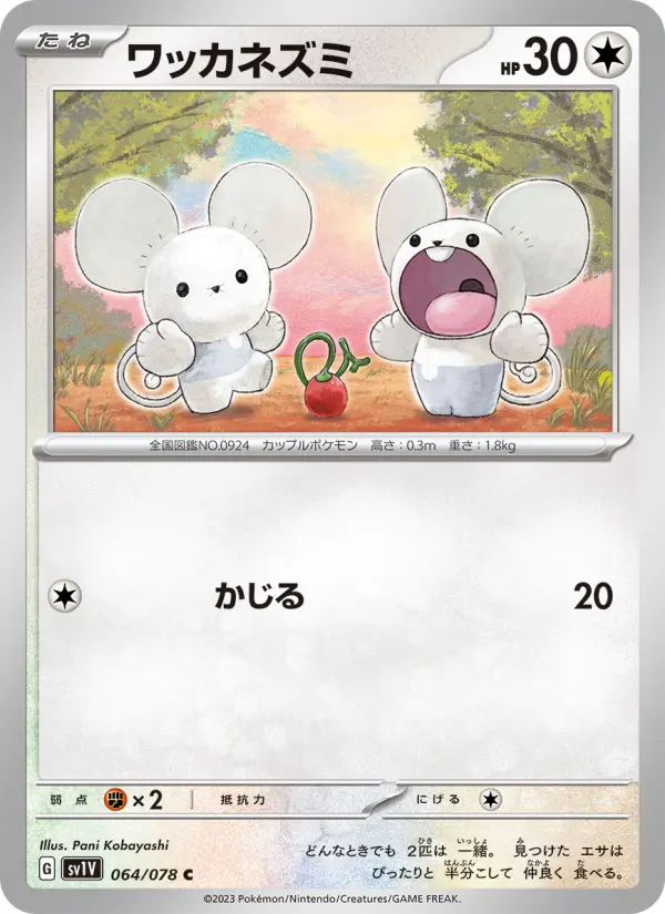 ワッカネズミ 064