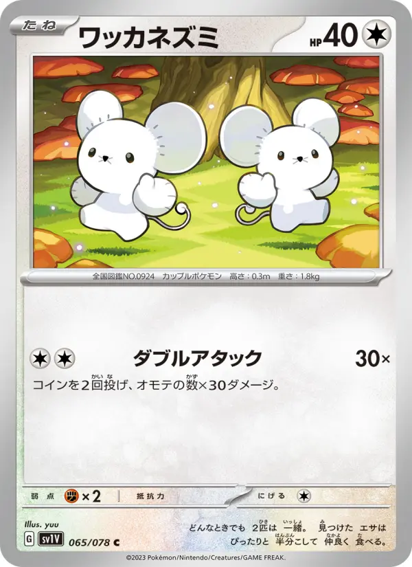 ワッカネズミ 065