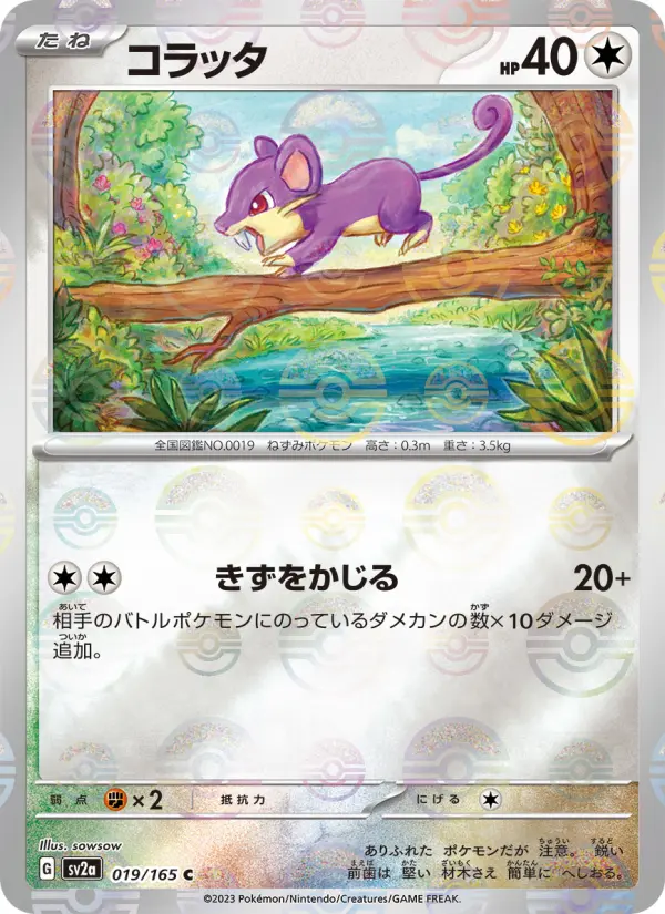 コラッタ 019