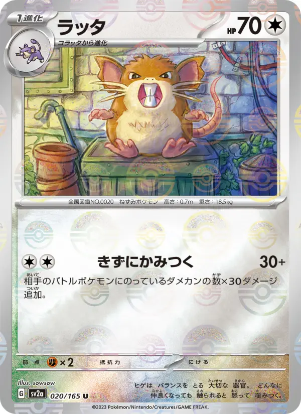 ラッタ 020