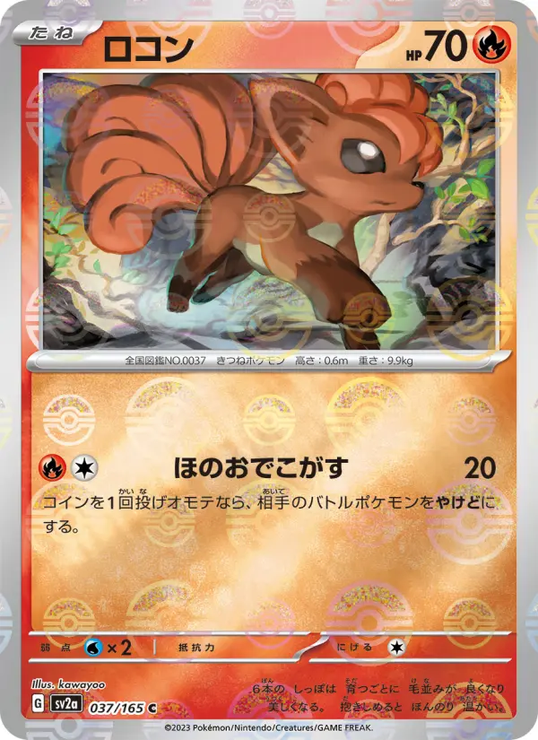 ロコン 037
