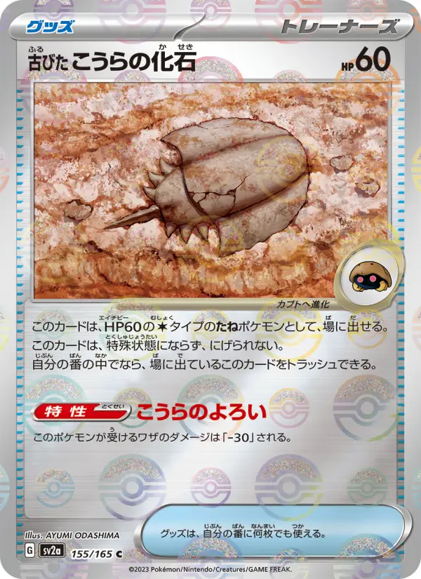 古びたこうらの化石 155