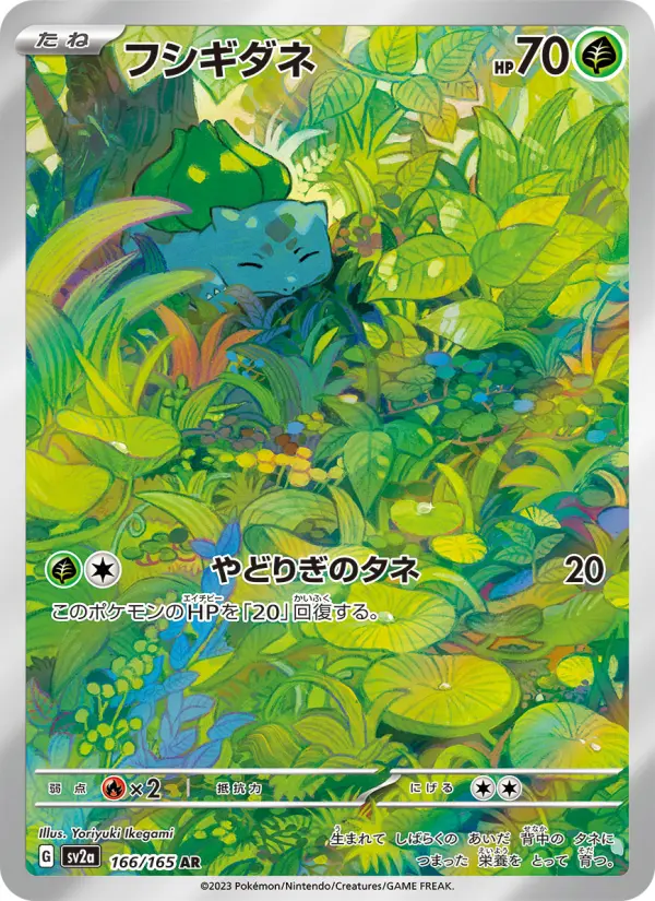 フシギダネ 166