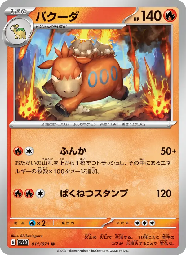 バクーダ 011
