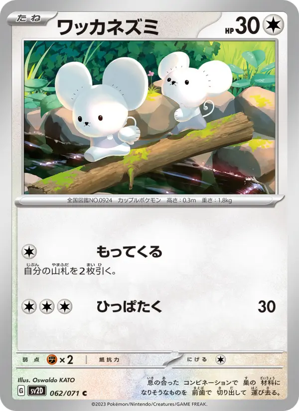 ワッカネズミ 062