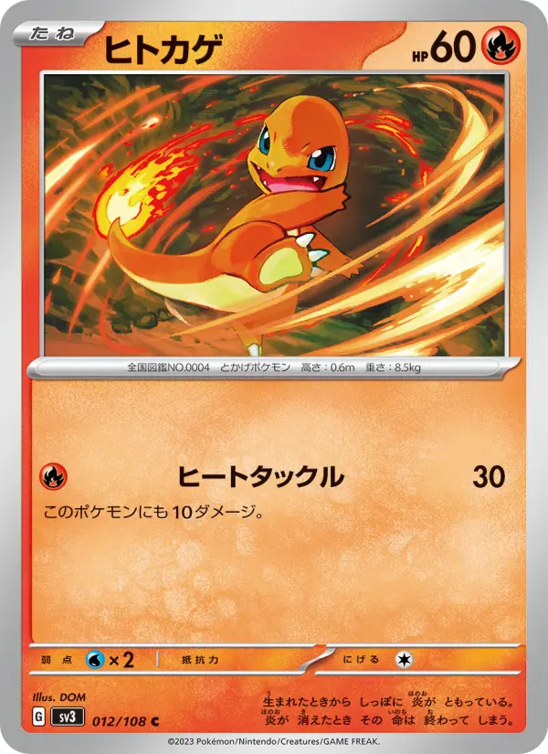 ヒトカゲ 012