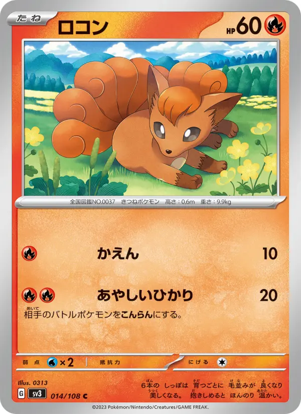 ロコン 014