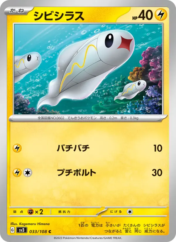 シビシラス 033