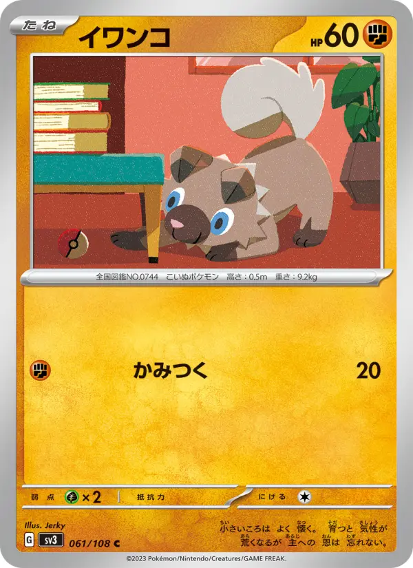 イワンコ 061