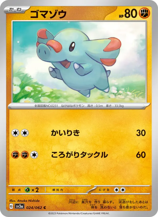 ゴマゾウ 024