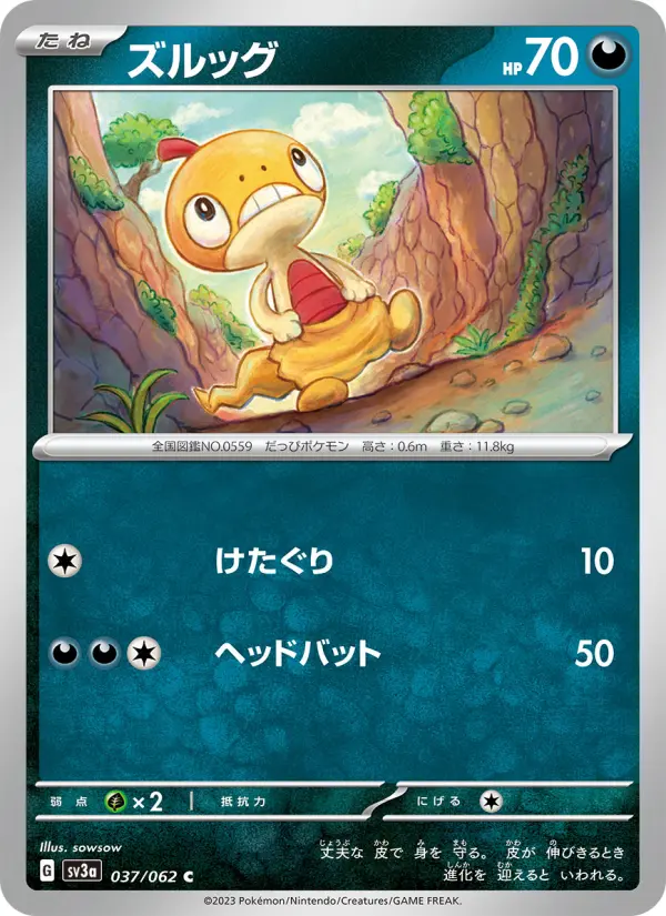 ズルッグ 037
