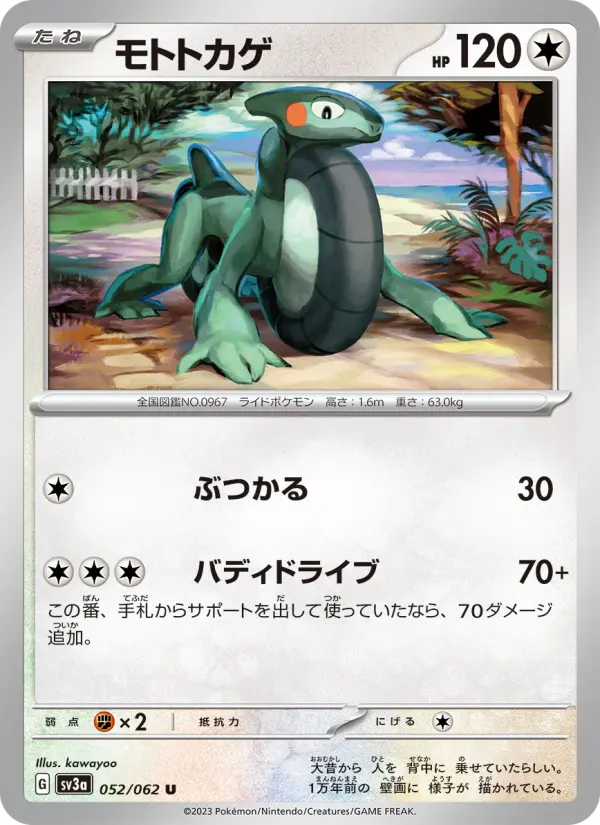 モトトカゲ 052