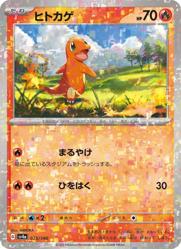 ヒトカゲ 025