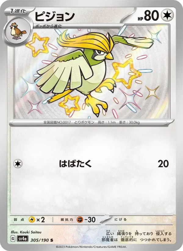 ピジョン 305