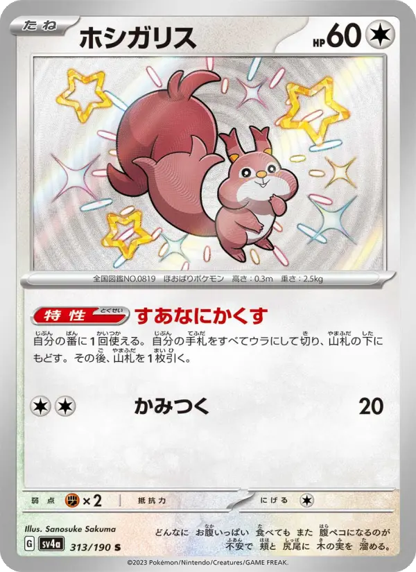 ホシガリス 313