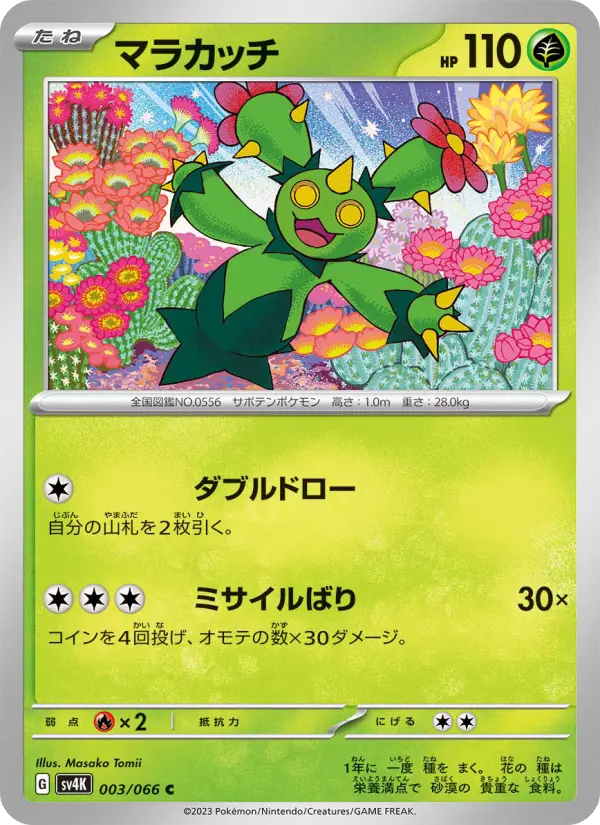 マラカッチ 003