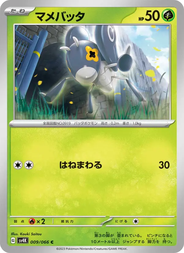 マメバッタ 009
