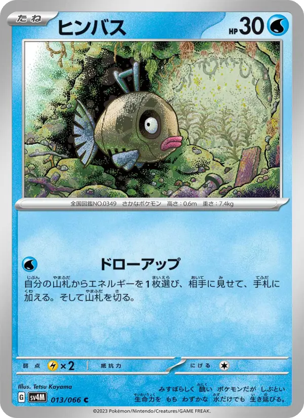 ヒンバス 013