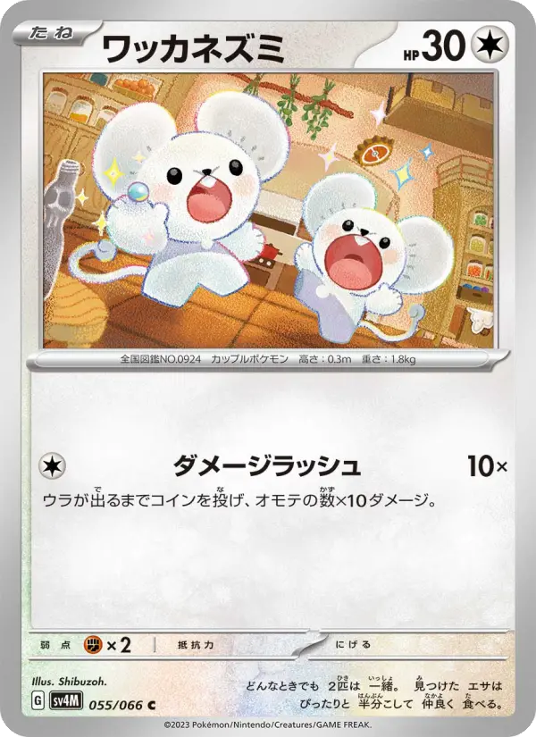 ワッカネズミ 055