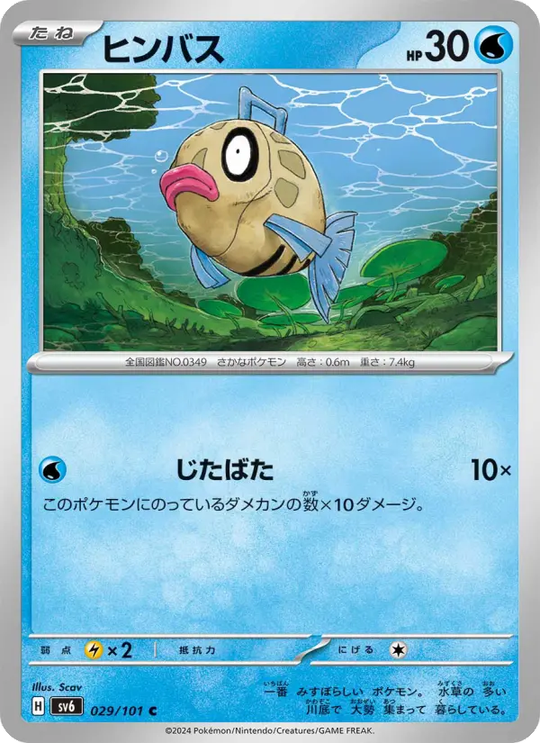 ヒンバス 029