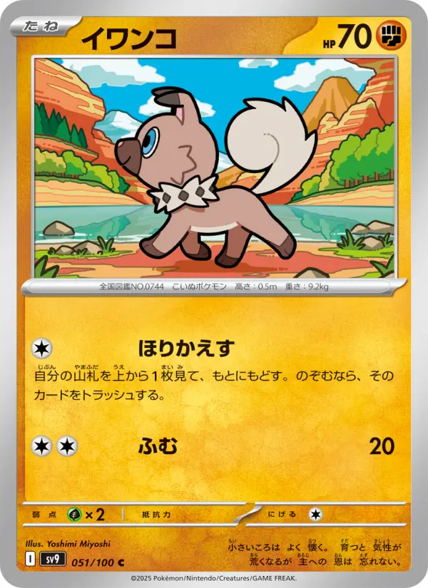 イワンコ 051
