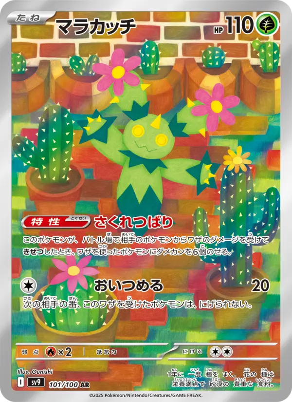 マラカッチ 101