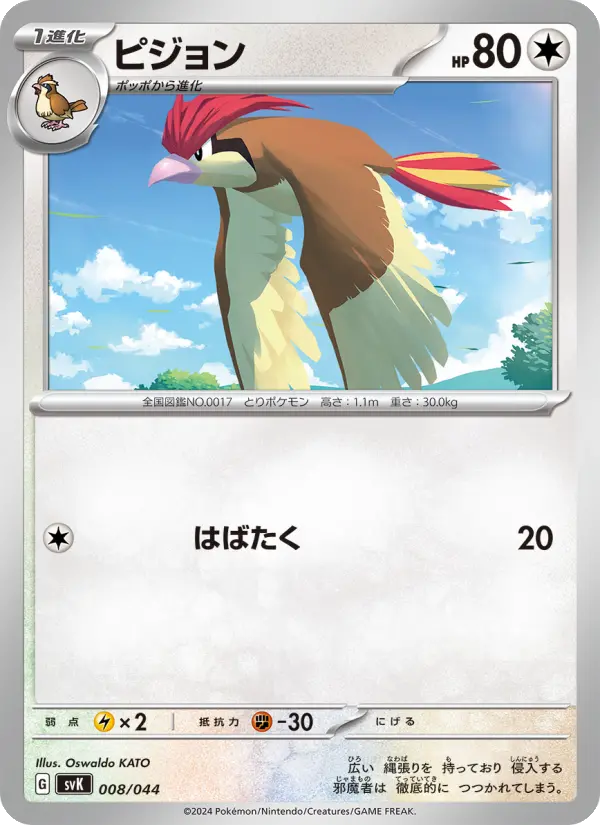 ピジョン 008