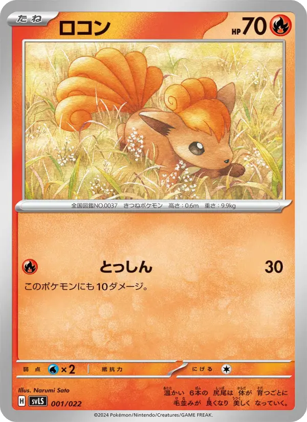 ロコン 001