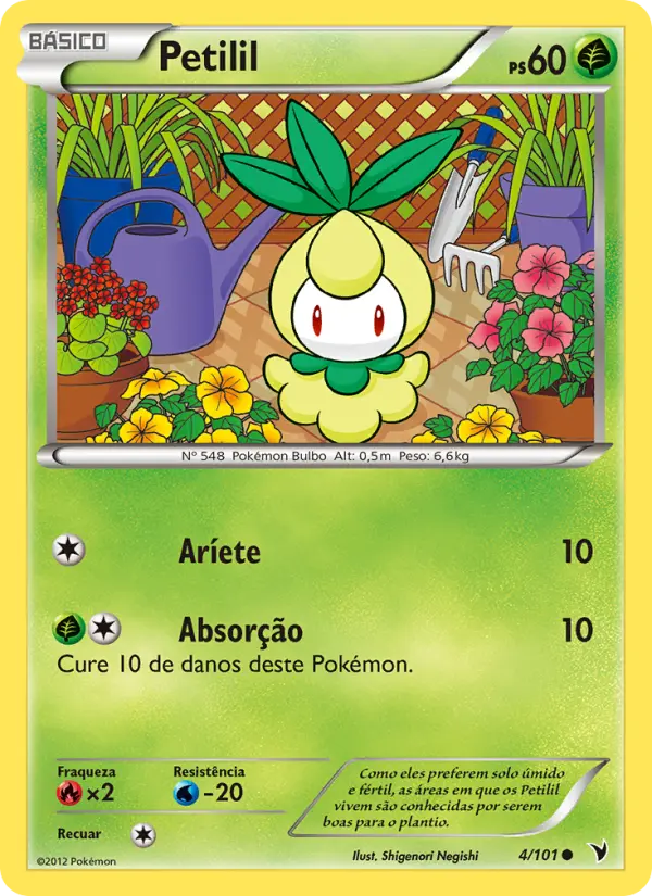 Petilil 4/101