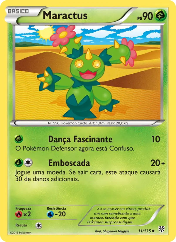 Maractus 11/135