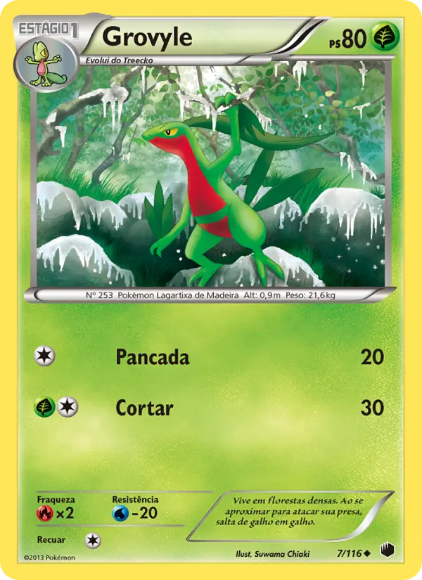 Grovyle 7/116