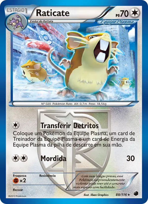 Raticate 88/116