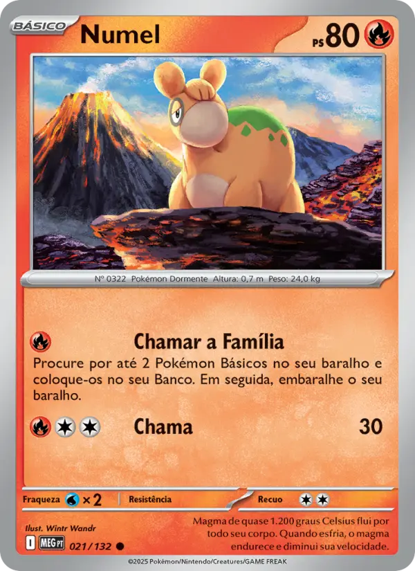 Numel 021/132