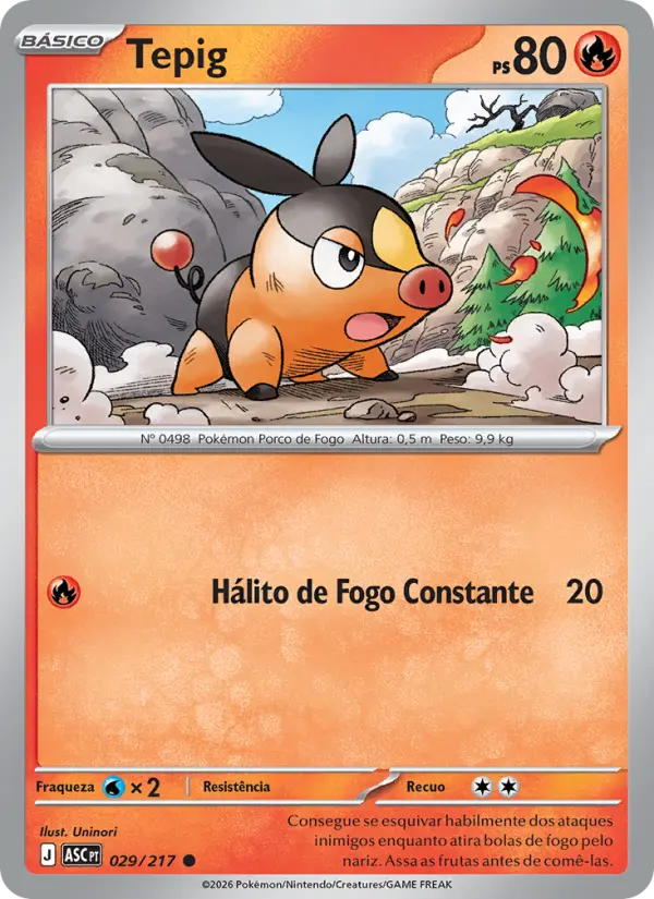 Tepig 029/217