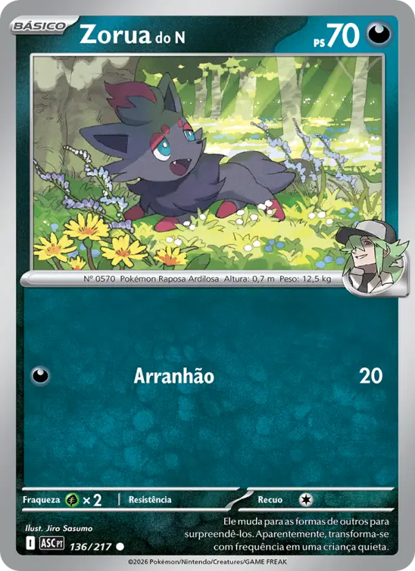 Zorua do N 136/217