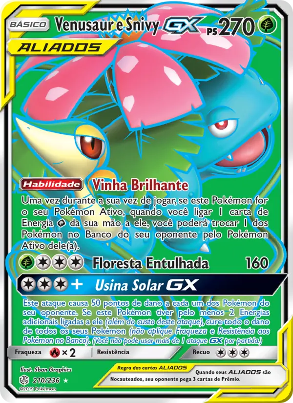 Venusaur e Snivy GX 210/236