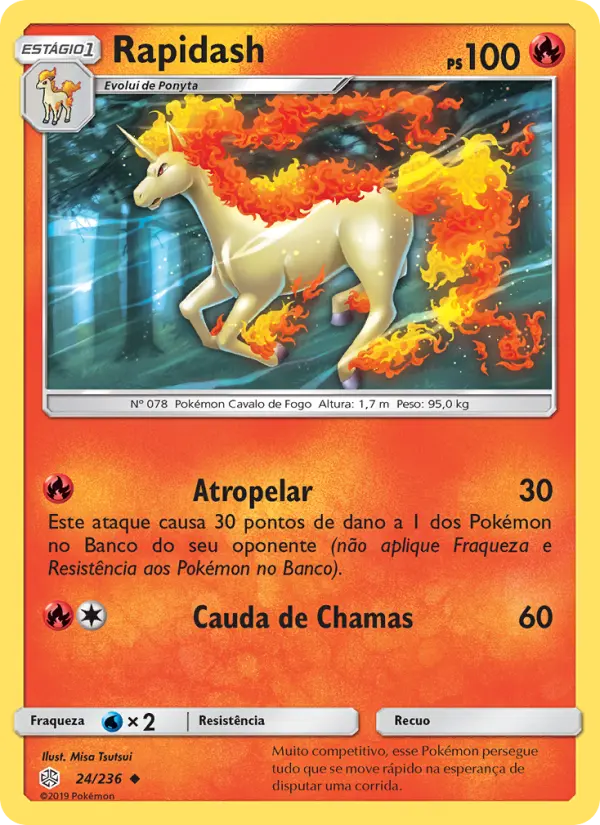 Rapidash 24/236