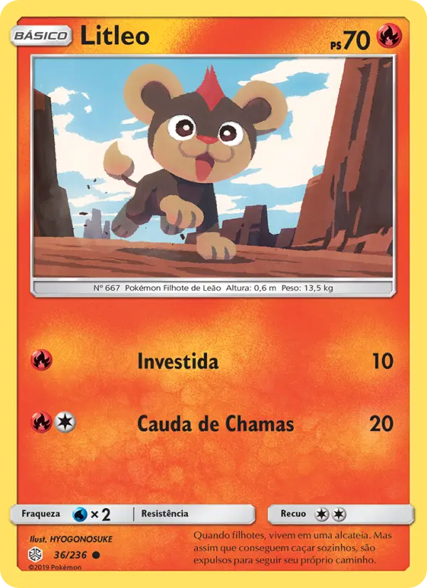 Litleo 36/236